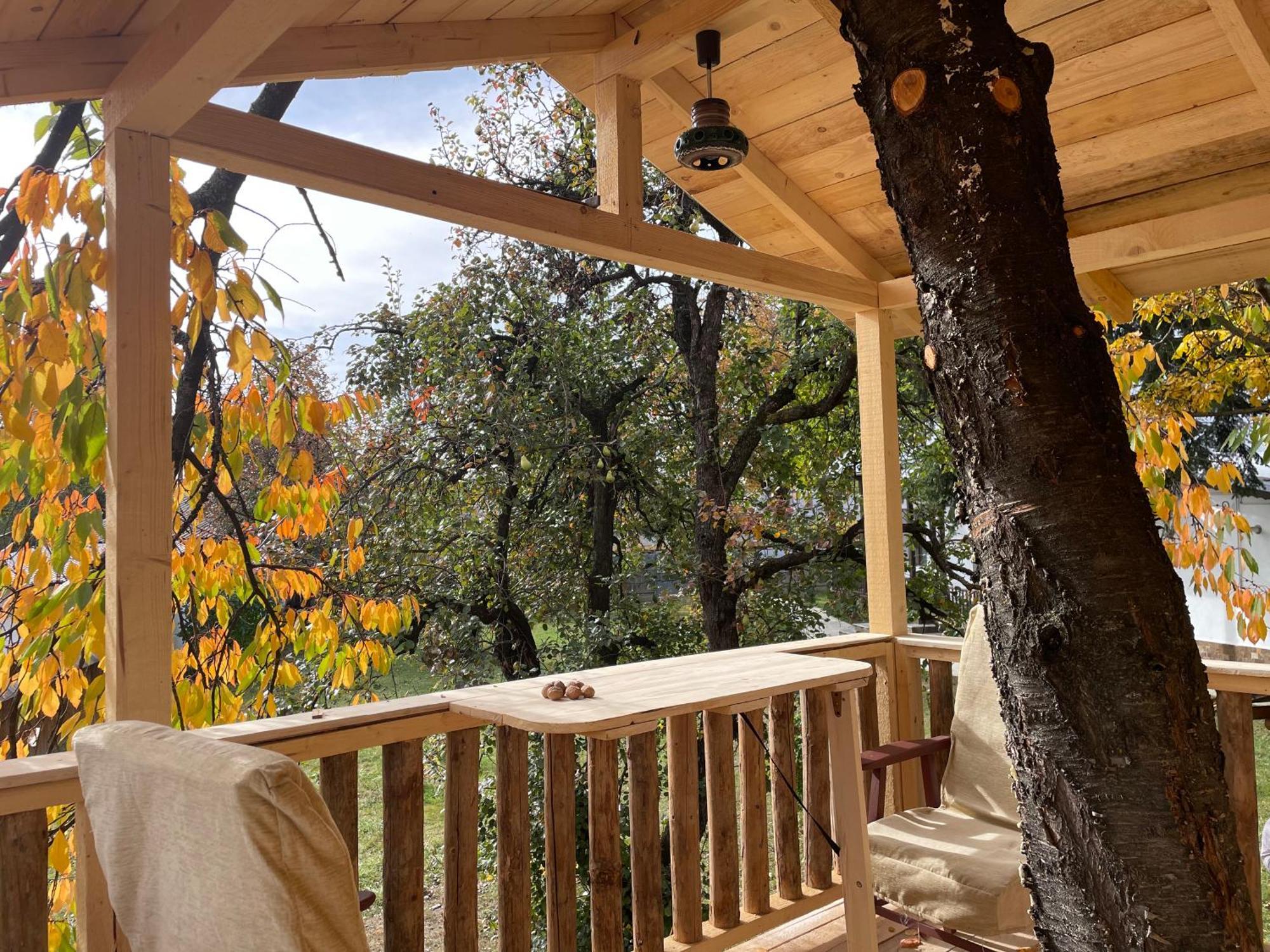 Casa vacanze Casa Humulesti, Fii Vecinul Lui Ion Creanga *