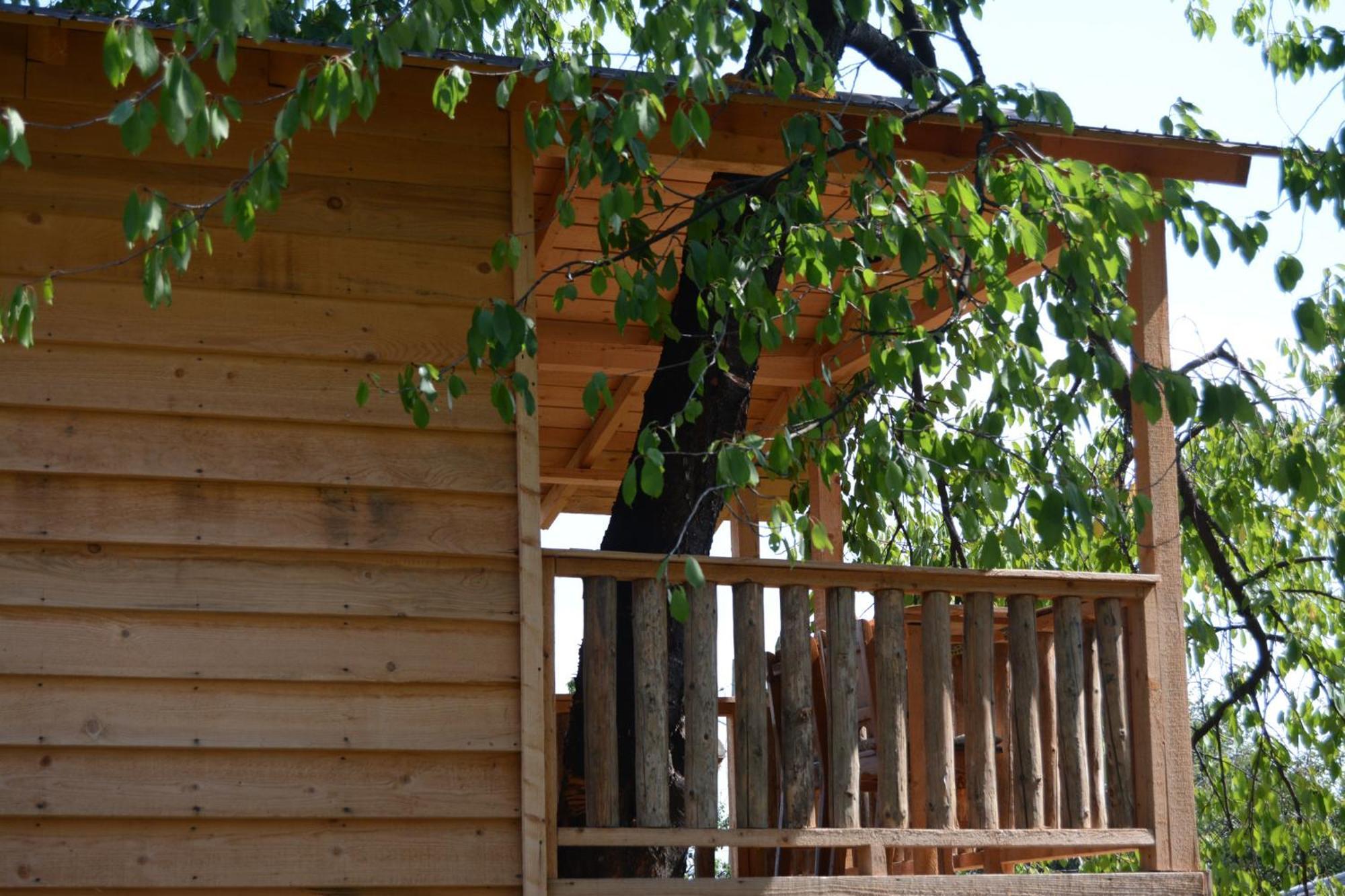 Casa Humulesti, Fii Vecinul Lui Ion Creanga * Târgu Neamţ